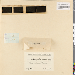 LE 01182947