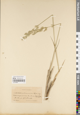 LE 01189540