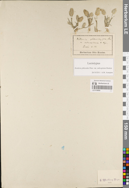 LE 01189582