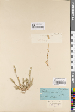 LE 01189619