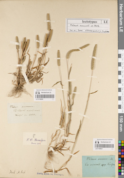 LE 01189620