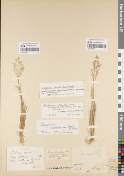 LE 01189701