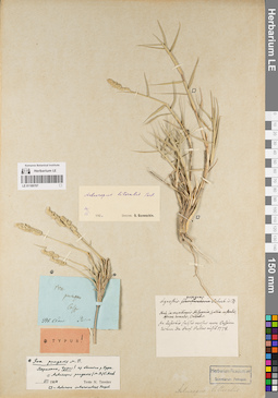 LE 01189707