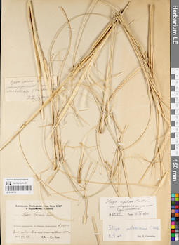 LE 01189732