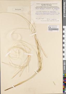 LE 01189744
