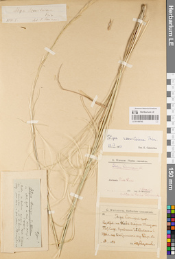 LE 01189745
