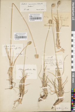 LE 01189781