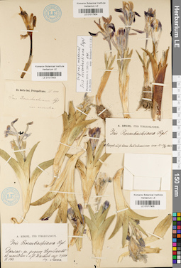 LE 01017903