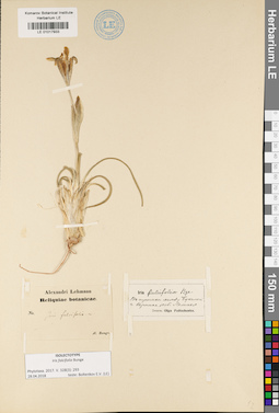 LE 01017933