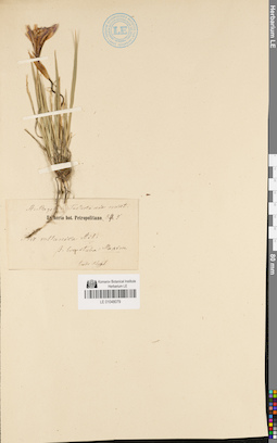 LE 01048079