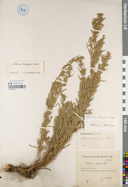 LE 01190077