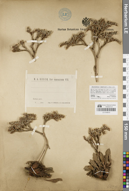 LE 01048019