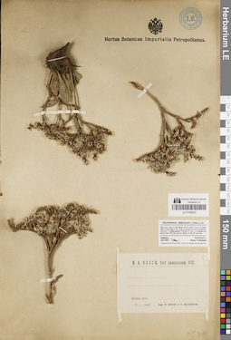 LE 01048020