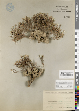 LE 01048010