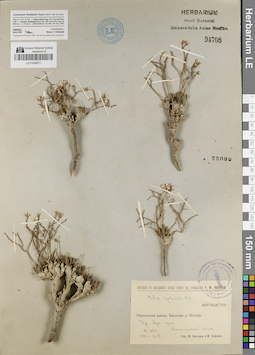 LE 01048011