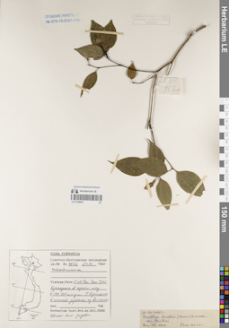 LE 01169451