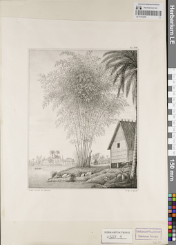 LE 01164266