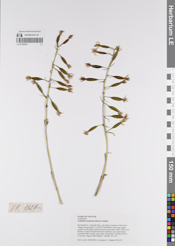 LE 01169335