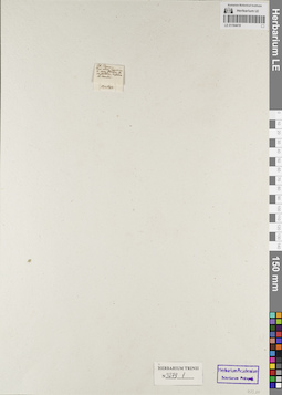 LE 01164418