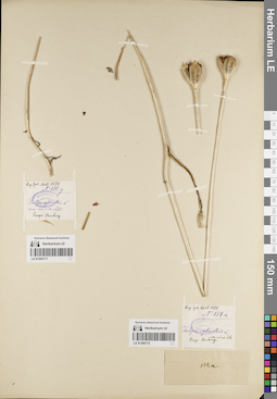 LE 01205171