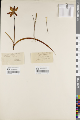 LE 01205180