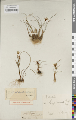 LE 01205190
