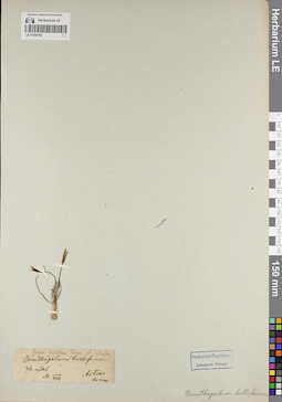 LE 01205192