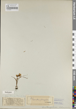 LE 01205194