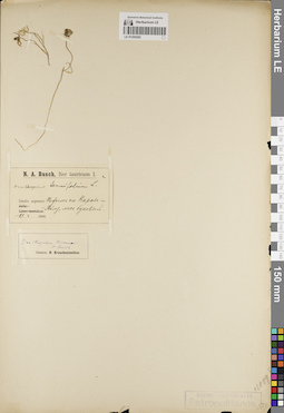 LE 01205202