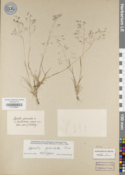 LE 01026091