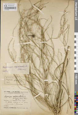 LE 01205220