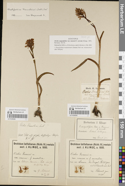 LE 01205282