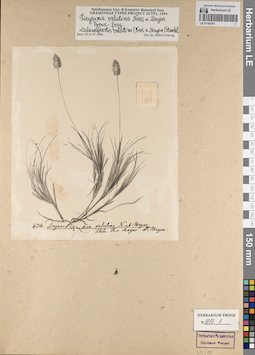 LE 01165161