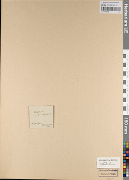 LE 01165190