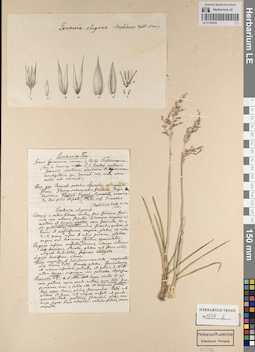 LE 01165255