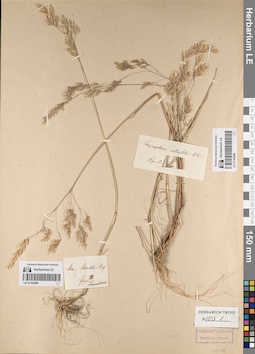 LE 01165288