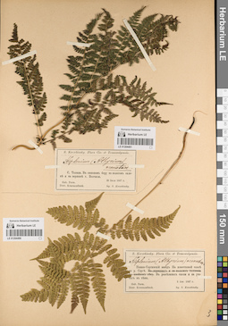 LE 01204490