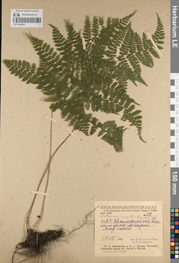 LE 01204394