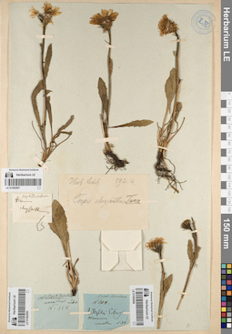 LE 01082997