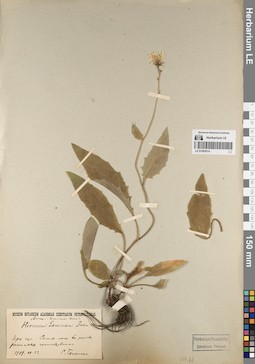 LE 01083014