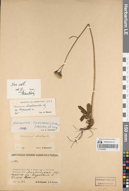 LE 01083028