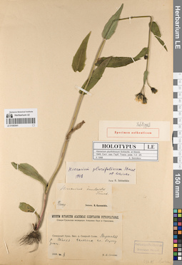 LE 01083041
