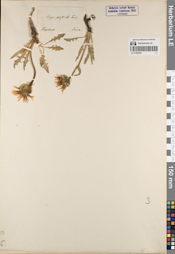 LE 01083050