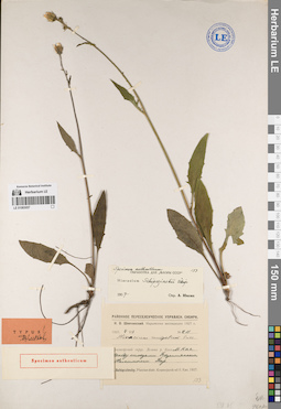 LE 01083057