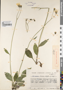 LE 01083071