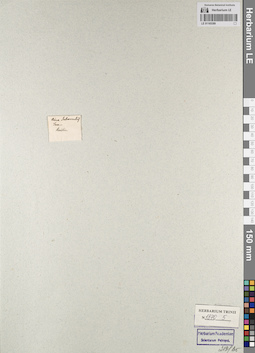 LE 01165389