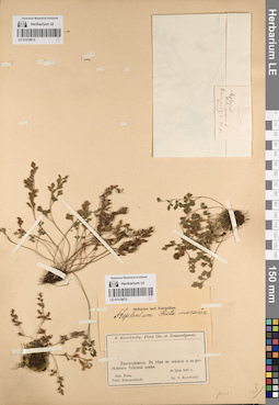 LE 01218012
