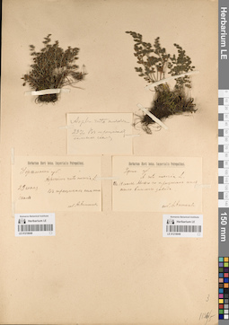 LE 01218049