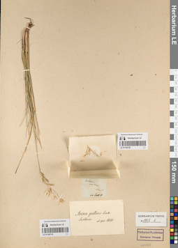 LE 01165720