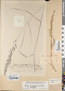 LE 01165818